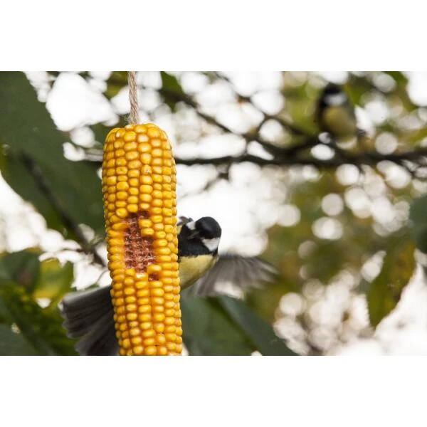 ESSCHERT DESIGN Gedroogde Maiskolven - Set Van 2 Stuks - Afbeelding 2