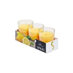 Tuinkaars In Kunststof Potje - Lemon Breeze - Set Van 3 Stuks