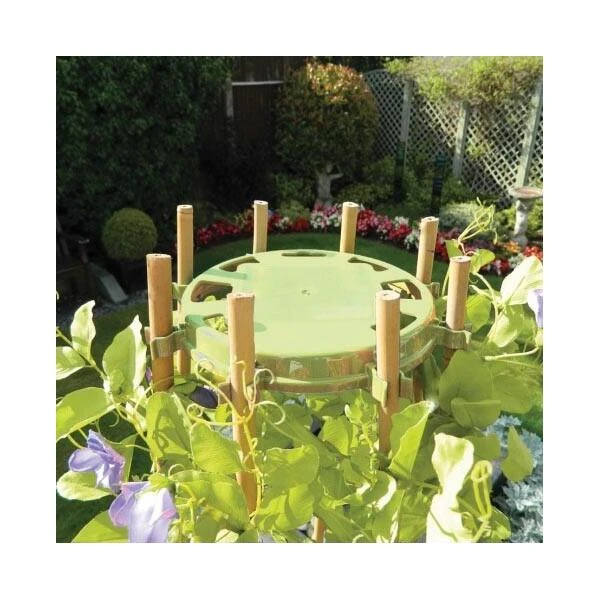 Bamboehouder Bonen En Erwten - Olijfgroen - Afbeelding 2