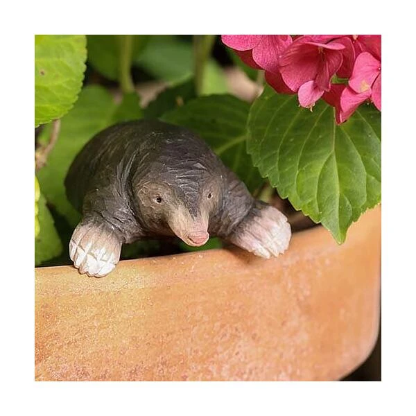 Europese Mol In Lindenhout - Handgemaakt - Afbeelding 2