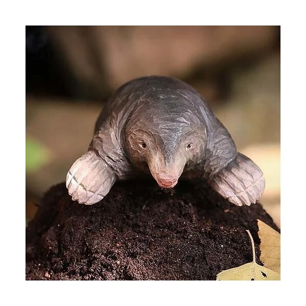 Europese Mol In Lindenhout - Handgemaakt - Afbeelding 3