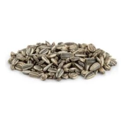 Gestreepte Zonnebloempitten - 12,50 Kg