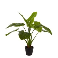 Kunstplant Taro In Pot - 100 × 100 Cm