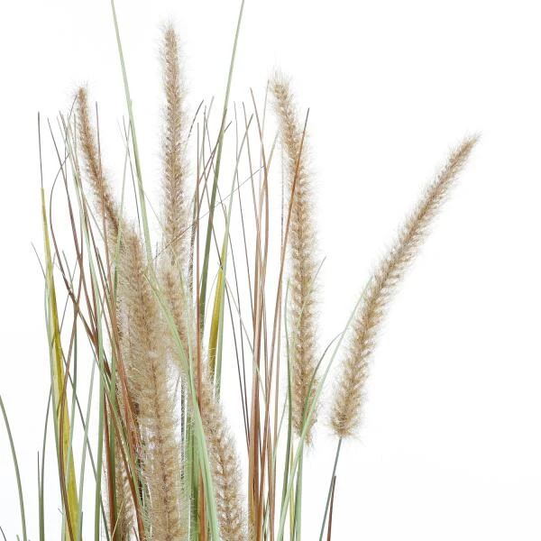 Kunstplant Pluimgras Dogtail In Pot - 35 × 92 Cm - Afbeelding 5