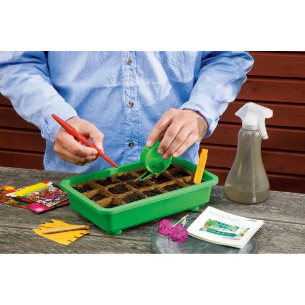 Opkweek Kit Romberg - Afbeelding 2