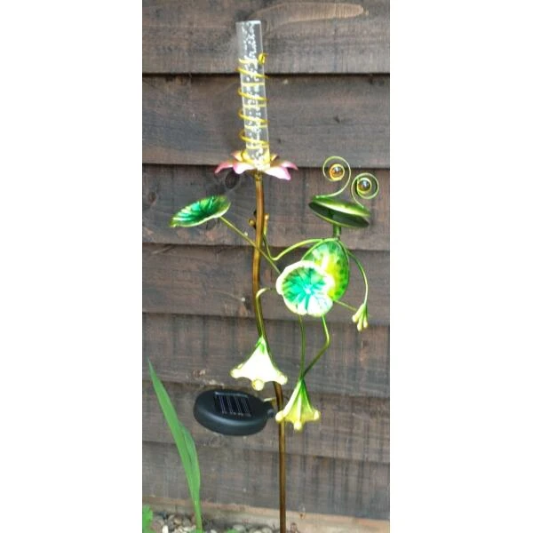 Kikker Met Solar Bloem - Afbeelding 3