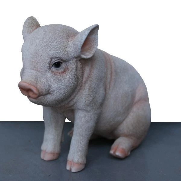 Jong Varkentje Zittend