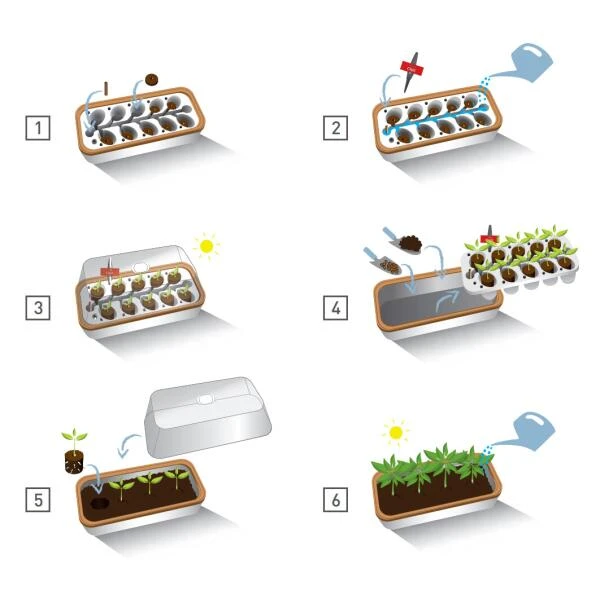 Binnenkas BoQube Plus Met Groelicht - 41 × 17 × 23 Cm - Afbeelding 6