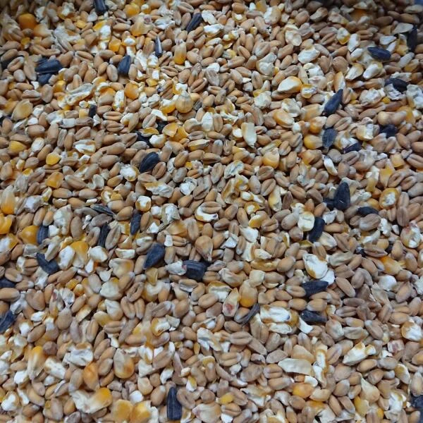 Bio Scharrelgraan 4 Kg - Afbeelding 2