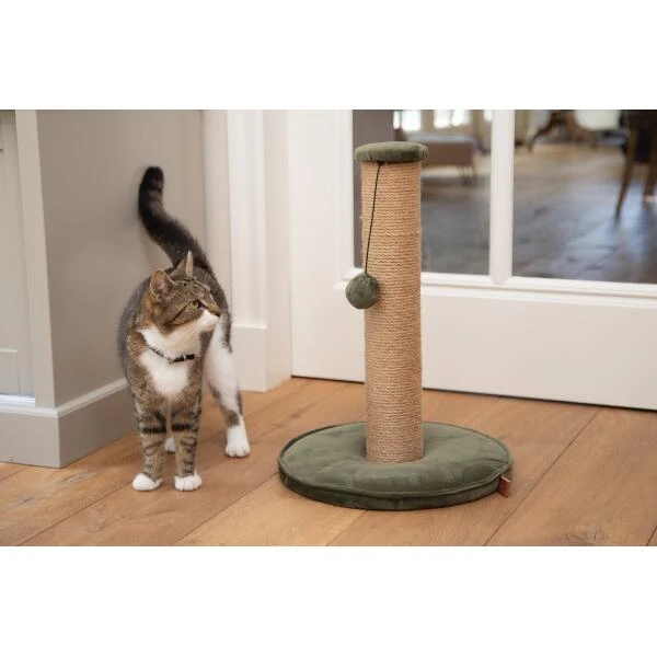 Krabpaal Yenna 35 × 35 × 60 Cm Groen - Designed By Lotte - Afbeelding 3