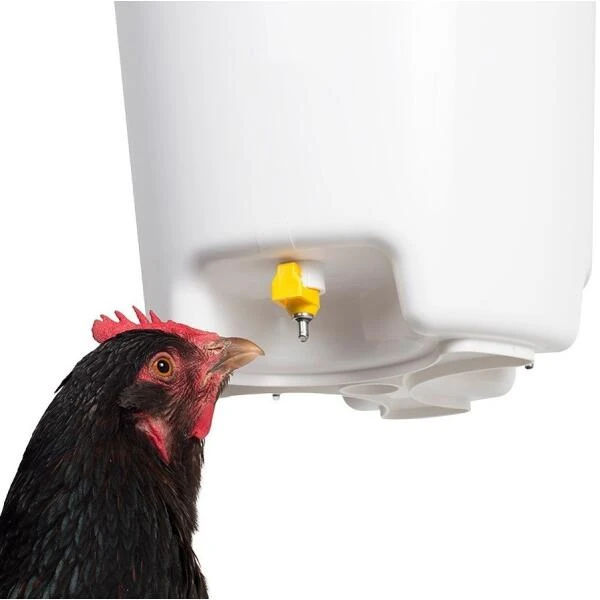 Drinkemmer Met Nippels - 12 Liter - Afbeelding 2