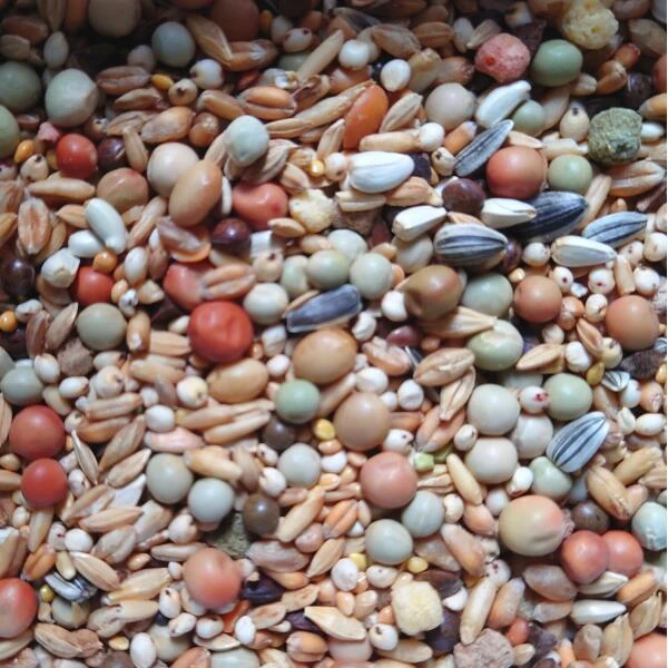 Kroppermengeling Zonder Mais En Milo GARVO 962 20 Kg