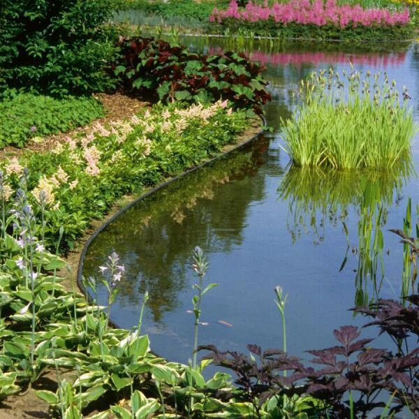 Ecoo Ecolat Tuinafboording 12 Cm X 25 M - Grijs - Afbeelding 3