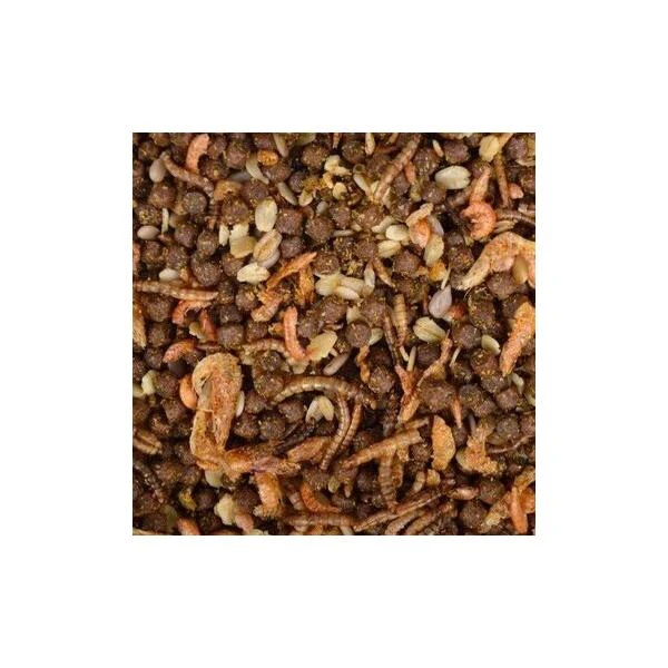 Egelvoer Met Insecten - 2,5 Kg - Afbeelding 2