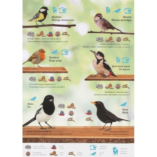 Emma's Garden Vogelvoeder Start Pack - Afbeelding 6