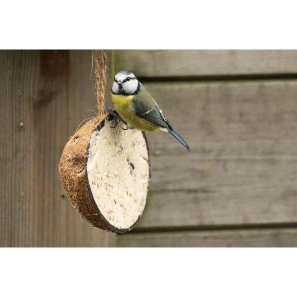 Emma's Garden Vogelvoeder Start Pack - Afbeelding 3