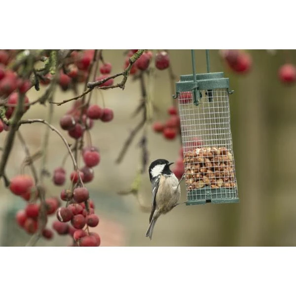 Emma's Garden Vogelvoeder Start Pack - Afbeelding 5