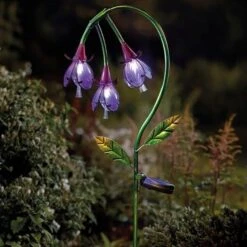 Fuchsia Als Solar Tuinlamp