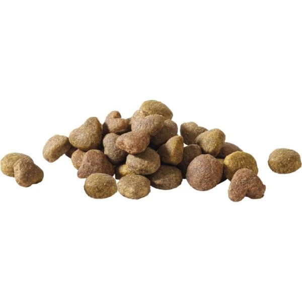 VERSELE-LAGA Hondenvoer Happy Life ADULT Kip - 15 Kg - Afbeelding 2