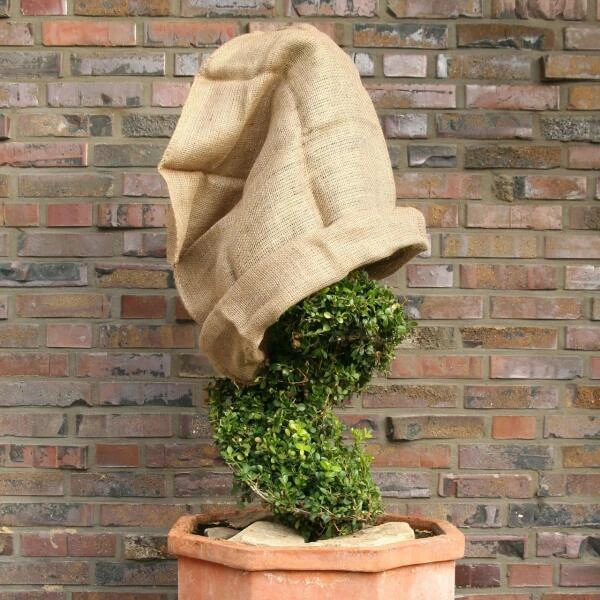 Jutezak - Naturel - 60 × 80 Cm