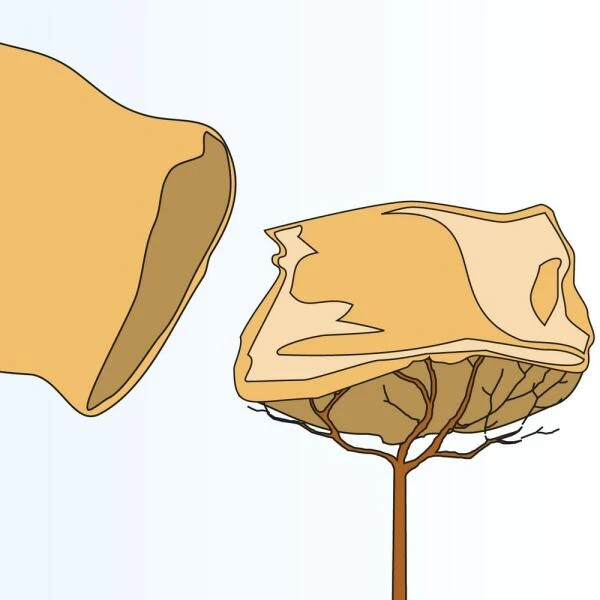 Jutezak - Grijs - 60 × 80 Cm - Afbeelding 2