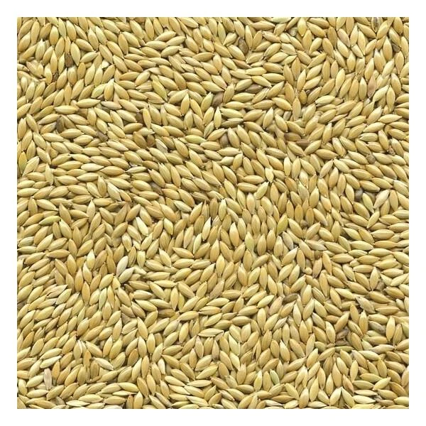 Kanariezaad 5 Kg
