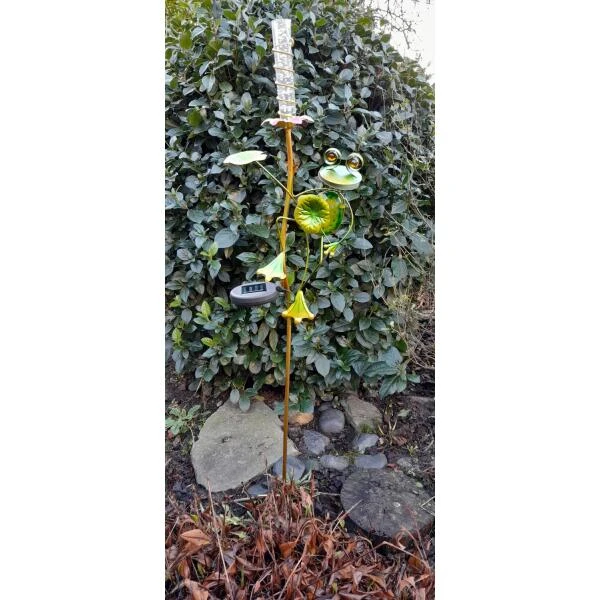 Kikker Met Solar Bloem - Afbeelding 2