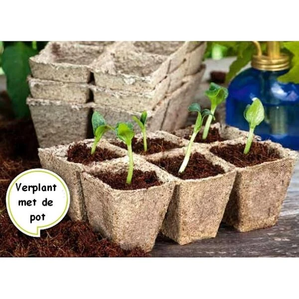 Vezelpotjes Vierkant Biologisch Afbreekbaar - 6 × 6 Cm - Set Van 24 Stuks - Afbeelding 3