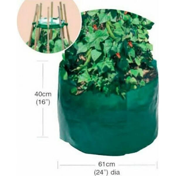 Kweekzak Bonen En Erwten - Afbeelding 2