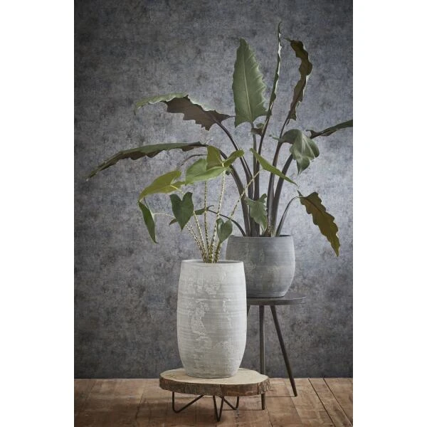 MICA Pia Boomstam Bijzettafel - Ø 40 × 14 Cm - Afbeelding 2