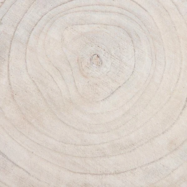 MICA Pia Boomstam Bijzettafel - Ø 40 × 14 Cm - Afbeelding 5