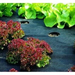 Mulchvlies - Onkruiddoek 5 × 1,5 M - 50g/m²