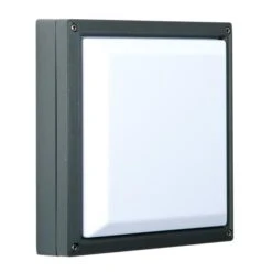 Muur- En Plafondlamp Stellar