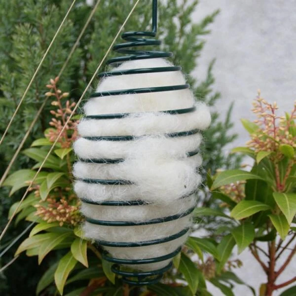 Schapenwol Als Nestmateriaal - Afbeelding 2