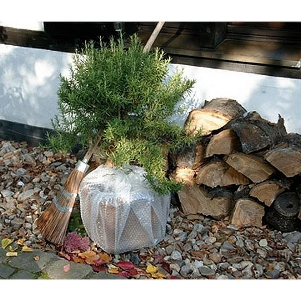 Noppenfolie Op Rol - 50 × 500 Cm