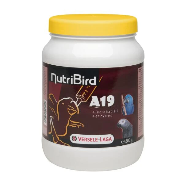 VERSELE-LAGA NutriBird A19, Handopfokvoer Voor Papegaaien - 800 G