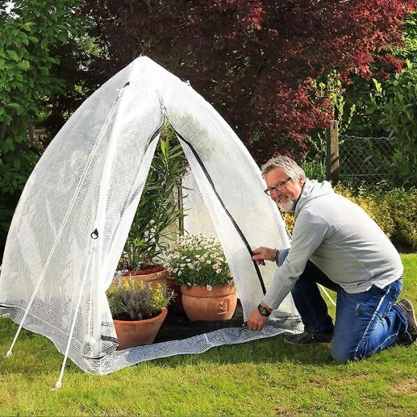 Overwinteringskas M - 130 × 130 × 150 Cm - Afbeelding 2