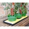Plant- En Gietpot Groen - Set Van 3 Stuks