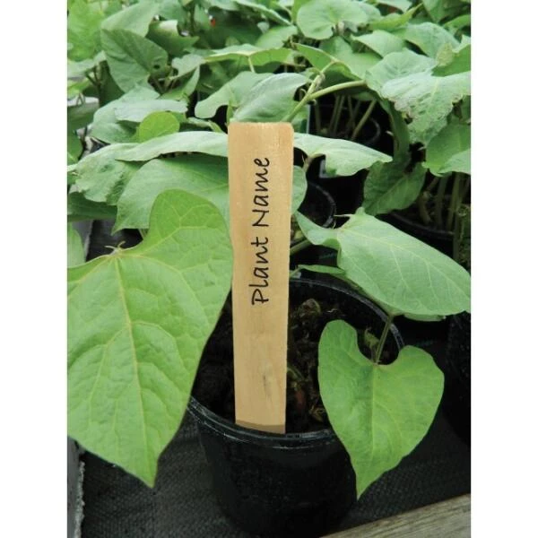 Plantenlabels Hout - 10 Cm - Set Van 10 Stuks - Afbeelding 2