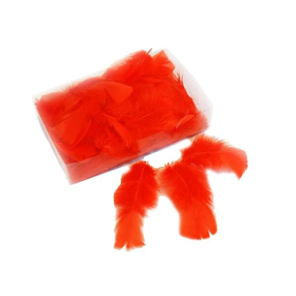 Decoratieve Pluimen - Oranje