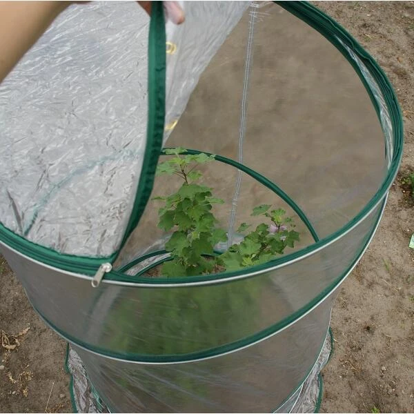 Pop-up Serre - Ø 70 × 110 Cm - Afbeelding 2