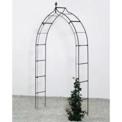 Rozenboog Gotiek - Zwart 120 × 30 × 248 Cm