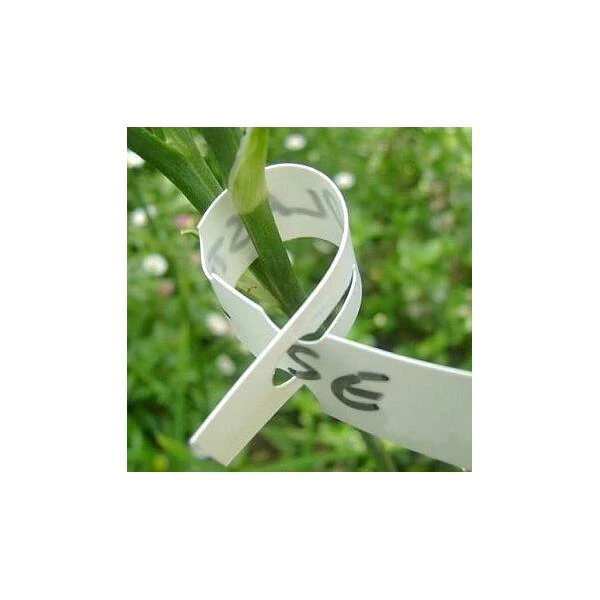 Sleufetiketten Wit - Set Van 100 Stuks - Afbeelding 2