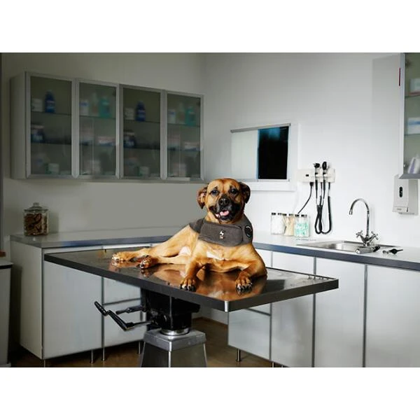 Thundershirt Antistress Voor Honden Grijs - XL - Afbeelding 2