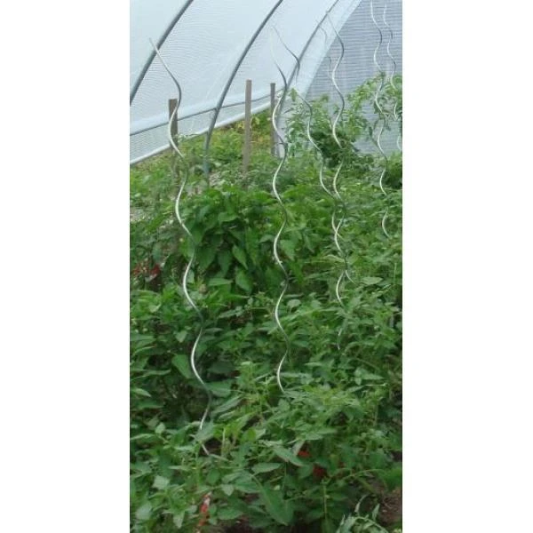 Tomatenspiralen - 170 Cm - Afbeelding 3