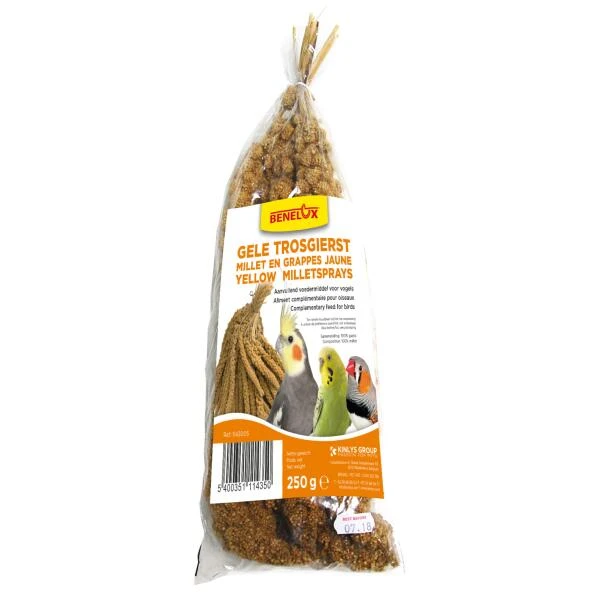 Trosgierst Voor Vogels - 250 Gram - Afbeelding 2