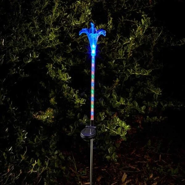 Fleurige Tuinlelie Op Zonne-energie