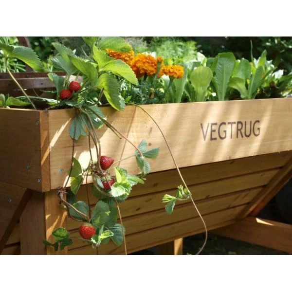 Vegtrug Verhoogde Kweektafel - 1 × 0,8 × 0,8 M - Afbeelding 4