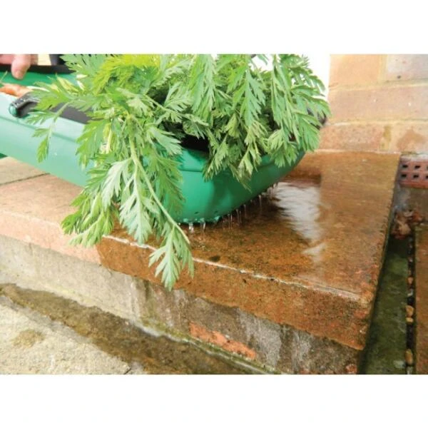 Verzamelmand - Groente En Fruit - Afbeelding 5