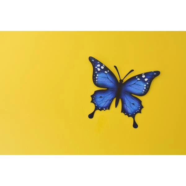 Vlinder Muurdecoratie - Metaal 30 × 25 Cm - Afbeelding 5